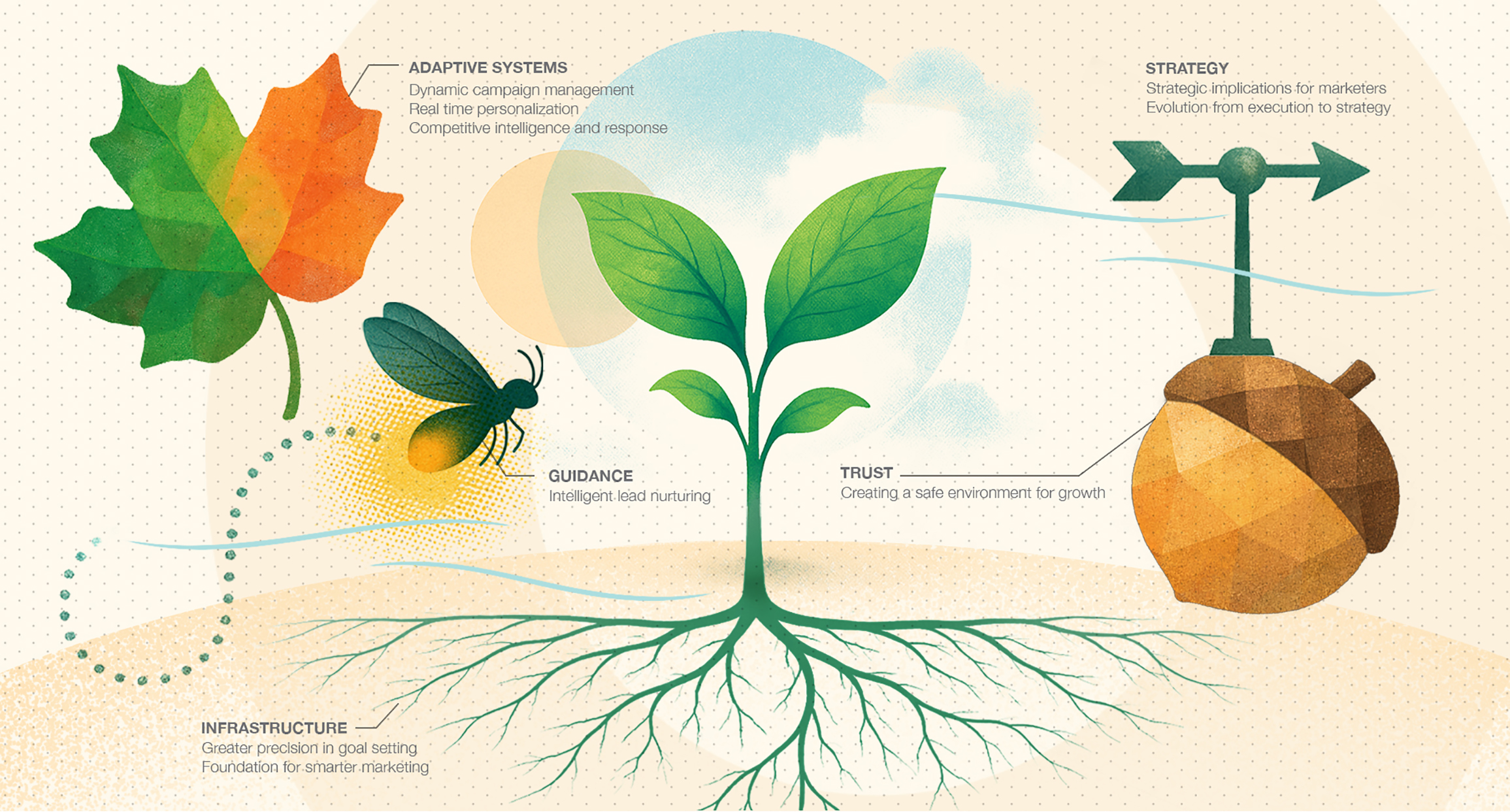 Seedling infographic